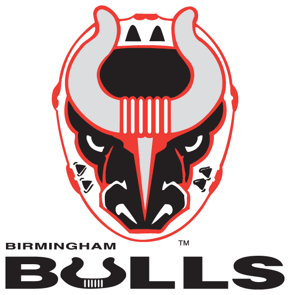 Birmingham Bulls 2017-Pres Primary Logo iron on heat transfer...